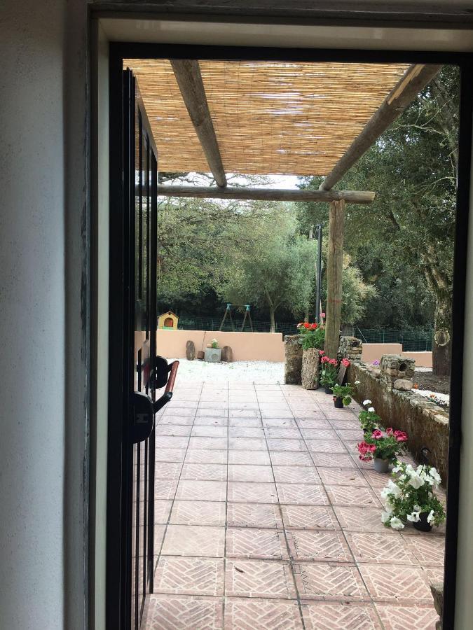 Azienda Agrituristica S'Argalasi - B&B - Affittacamere Loc S'Argalasi Austis Eksteriør bilde