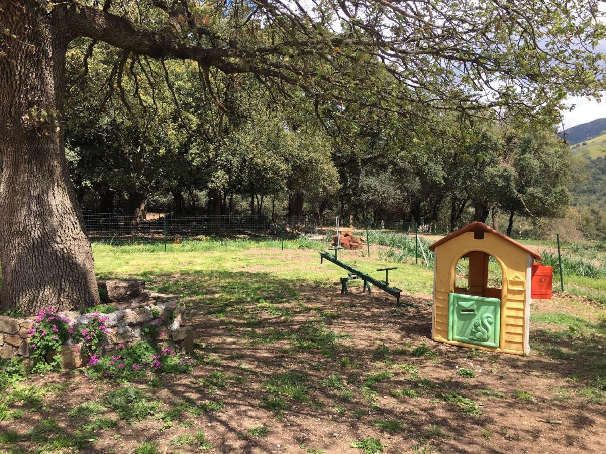 Azienda Agrituristica S'Argalasi - B&B - Affittacamere Loc S'Argalasi Austis Eksteriør bilde