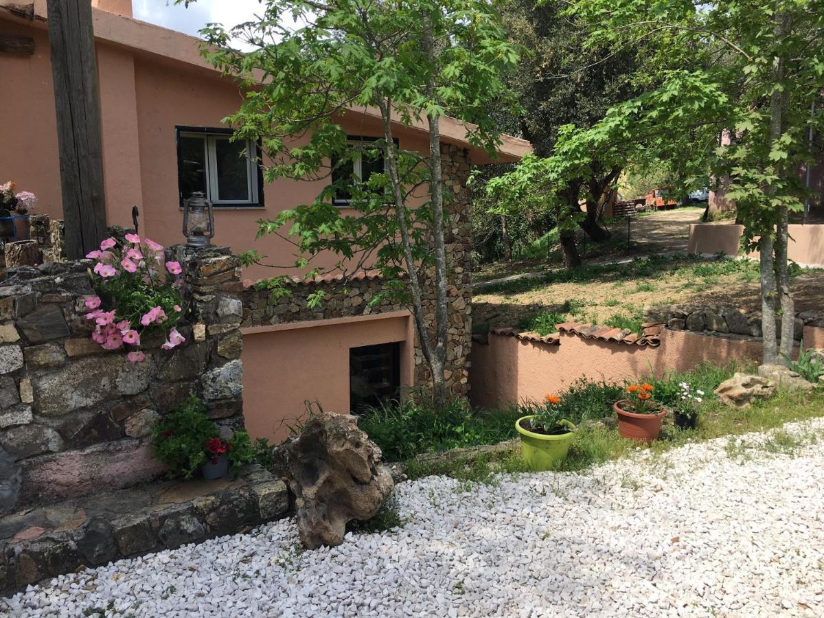 Azienda Agrituristica S'Argalasi - B&B - Affittacamere Loc S'Argalasi Austis Eksteriør bilde