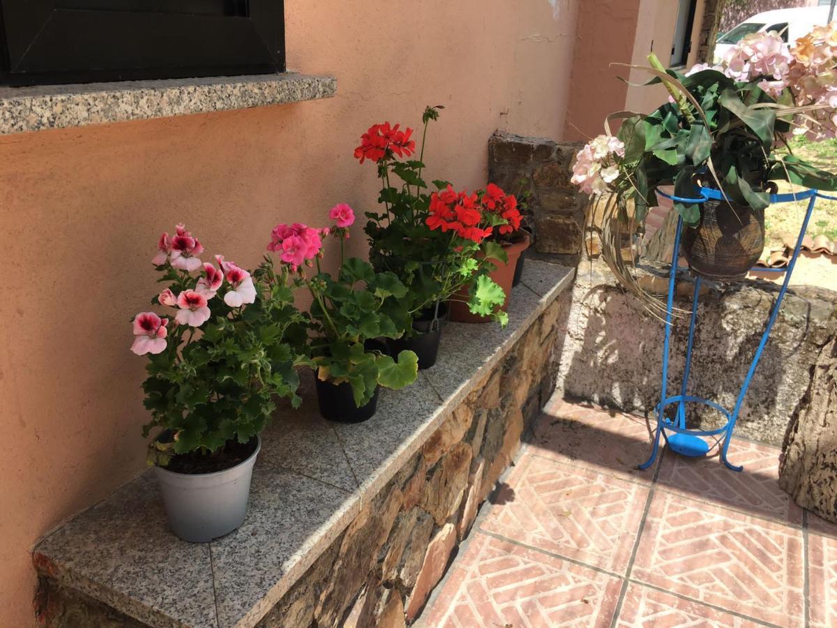 Azienda Agrituristica S'Argalasi - B&B - Affittacamere Loc S'Argalasi Austis Eksteriør bilde